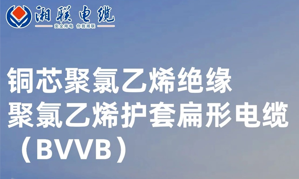 國標認證，品質保障 | 一文解析BVVB（銅芯聚氯乙烯絕緣聚氯乙烯護套扁形電纜）